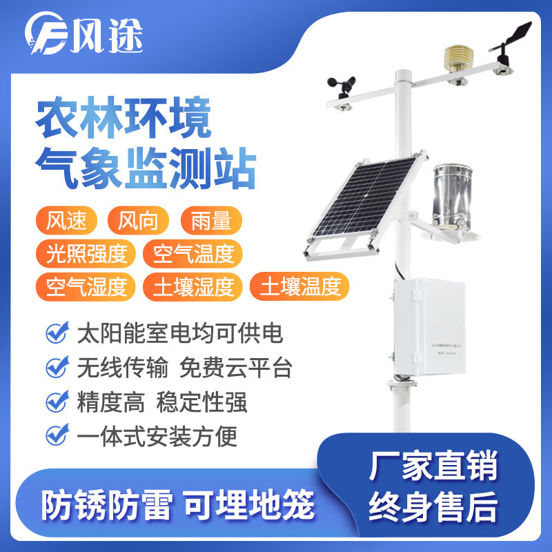 沙棘果，致富新良機(jī)